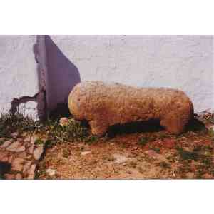 Click para ampliar. Pulsa en el nombre para ver la ficha. Verraco o león de Guadalupe